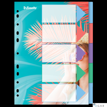 Przekładki ColourBreeze PP A4, 5 przekładek Esselte 628498