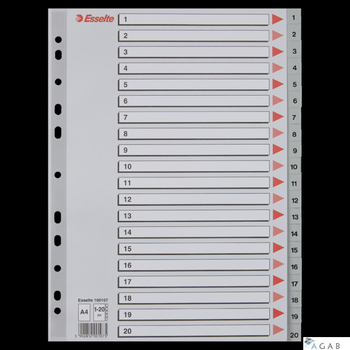 Przekładki plastikowe numeryczne A4 1-20 szare ESSELTE 100107