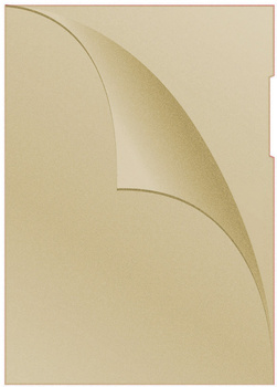 Obwoluta DONAU typu L, PP, A4, groszkowa, 120mikr., żółta