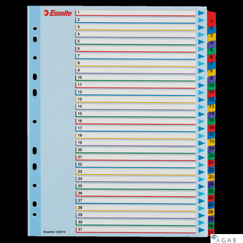 Przekładki kartonowe MYLAR A4 MAXI 1-31 ESSELTE 100210