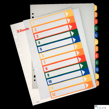 Przekładki plastikowe ESSELTE 1-12 do zadruku 100214