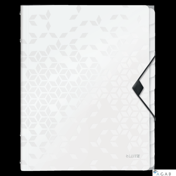 Teczka segregująca 12 przekładek PP Leitz WOW, biała 46340001 -aa (X)