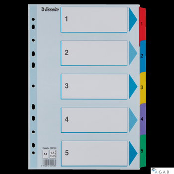 Przekładki kartonowe MYLAR A4 1-5 100160 białe ESSELTE