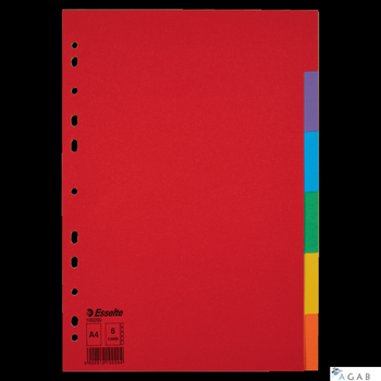 Przekładki karton A4 6 kart ESSELTE 100200 kolorowe bez karty opisowej