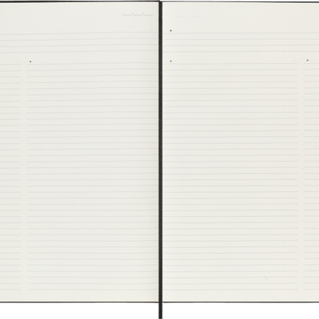 Notes MOLESKINE PROFESSIONAL A4 (21x29,7 cm), twarda oprawa, 192 strony, czarny