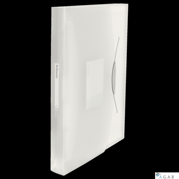 Teczka z przegródkami ESSELTE VIVIDA biała 624018 (X)