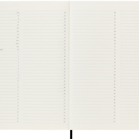Notes MOLESKINE PROFESSIONAL XL (19x25 cm), miękka oprawa, 192 strony, czarny