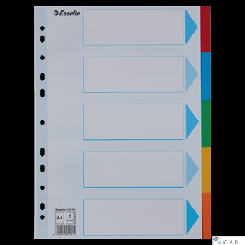 Przekładki karton A4 5 kart ESSELTE 100191 kolorowe z kartą opisową