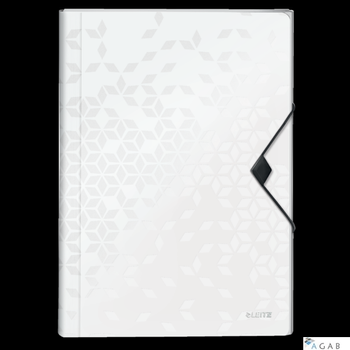 Teczka z 6 przegródkami PP Leitz WOW, biała 45890001 -a