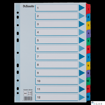 Przekładki kartonowe MYLAR A4 1-12 100162 białe ESSELTE