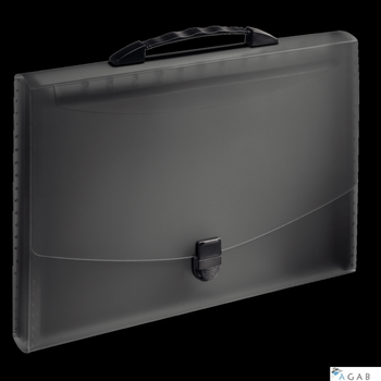 Teczka z przegródkami i rączką czarna ESSELTE VIVIDA 624024