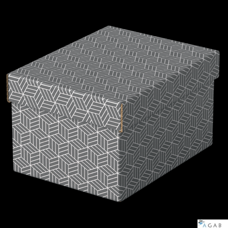 Pudełka domowe do przechowywania, rozmiar S, 3 sztuki, szare Esselte 628281