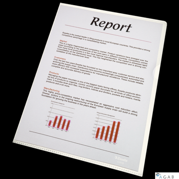 Ofertówki krystaliczne A4 Esselte, 75 mic., 100 szt., 54810