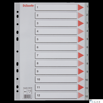Przekładki plastikowe szare PP A4 1-12 100106 numeryczne ESSELTE