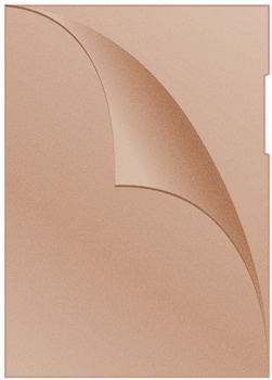 Obwoluta DONAU typu L, PP, A4, groszkowa, 120mikr., pomarańczowa