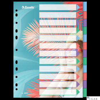 Przekładki ColourBreeze PP A4, 12 przekładek Esselte 628501