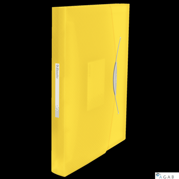 Teczka z przegródkami ESSELTE VIVIDA żółty 624020