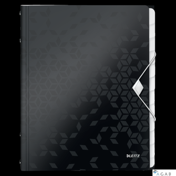 Teczka segregująca 12 przekładek PP Leitz WOW, czarna 46340095 -a (X)