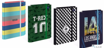 Teczka z gumką twarda oprawa A4+ BOYS INTERDRUK