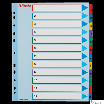 Przekładki kartonowe MYLAR A4 MAXI 1-12 ESSELTE 100209