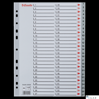 Przekładki plastikowe numeryczne A4 1-54 szare ESSELTE 100109