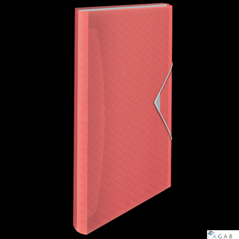 Teczka z przegródkami Esselte Colour Breeze, 6 przegródek, koralowy 628447