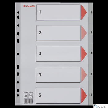Przekładki plastikowe szare PP A4 1-5 100103 numeryczne ESSELTE