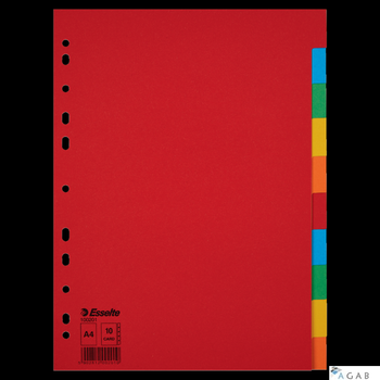 Przekładki karton A4 10 kart ESSELTE 100201 kolorowe bez karty opisowej