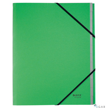 Teczka z 12 przekładkami Leitz Recycle A4, zie 39150055