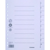 Przekładka DONAU, karton, A4, 235x300mm, 1-10, 1 karta, szara