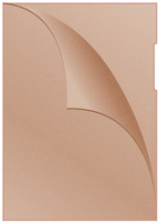 Obwoluta DONAU typu L, PP, A4, groszkowa, 120mikr., pomarańczowa