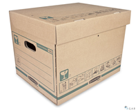 Pudło EXTRA STRONG średnie 7205301 L FELLOWES