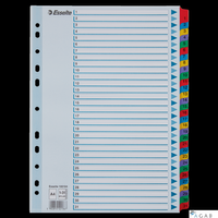 Przekładki kartonowe MYLAR A4 1-31 100164 białe ESSELTE