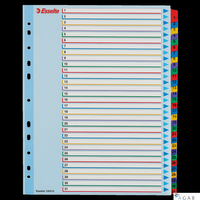 Przekładki kartonowe MYLAR A4 MAXI 1-31 ESSELTE 100210
