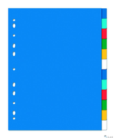 Przekładki OXFORD z kolorowego PP, A4 MAXI, 12 kart 100205086