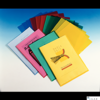 Ofertówki groszkowe A4 Esselte, 115 mic., przezroczysty, 100 szt., 54832