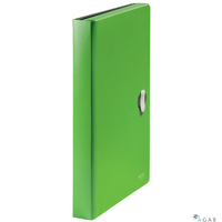Teczka z przegródkami Leitz Recycle A4 PP, zie 46240055