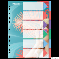 Przekładki ColourBreeze PP A4, 6 przekładek Esselte 628499