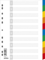 Przekładki DONAU, PP, A4, 225x297mm, 10+1 kart, mix kolorów